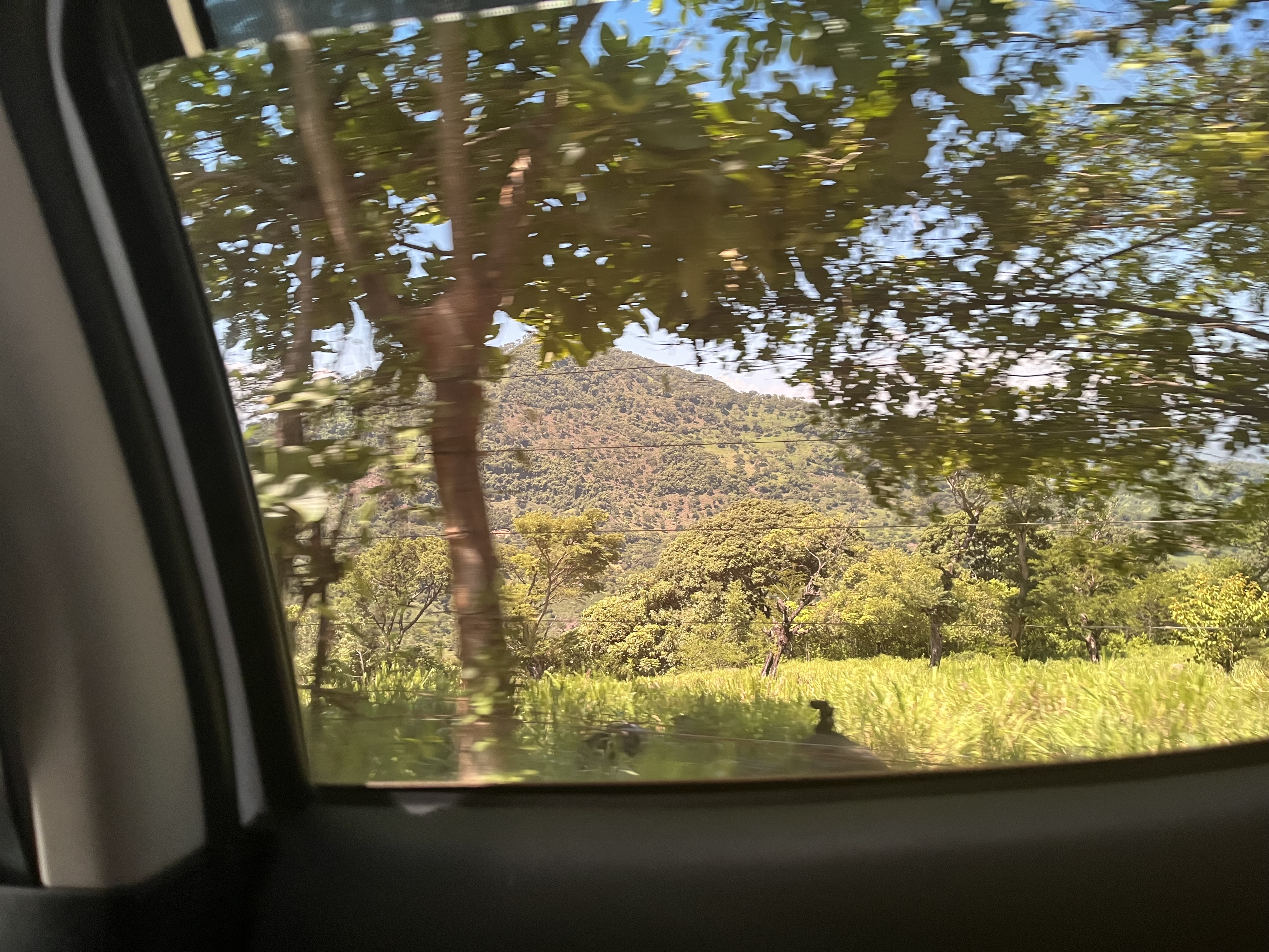 Finca familiar El Salvador