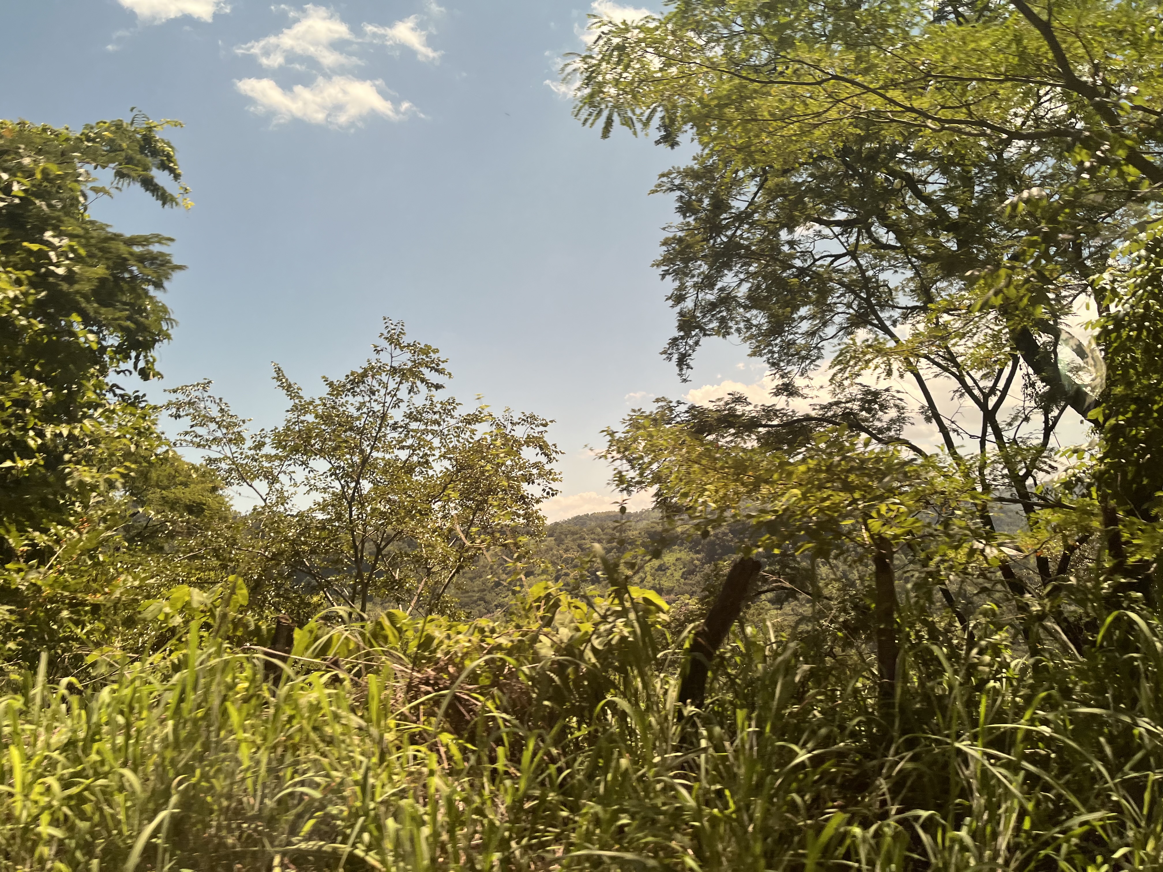 Finca familiar El Salvador