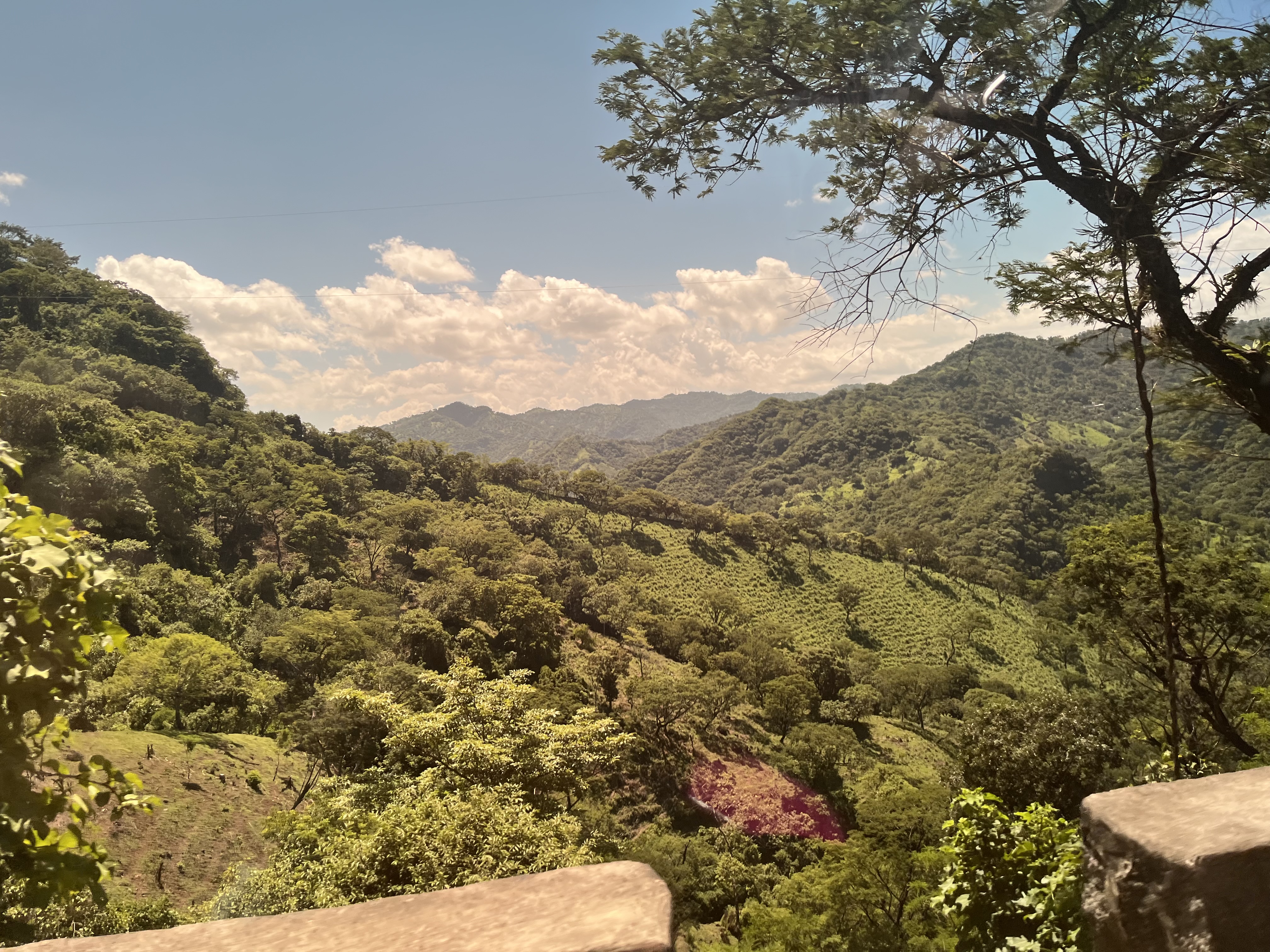 Finca familiar El Salvador