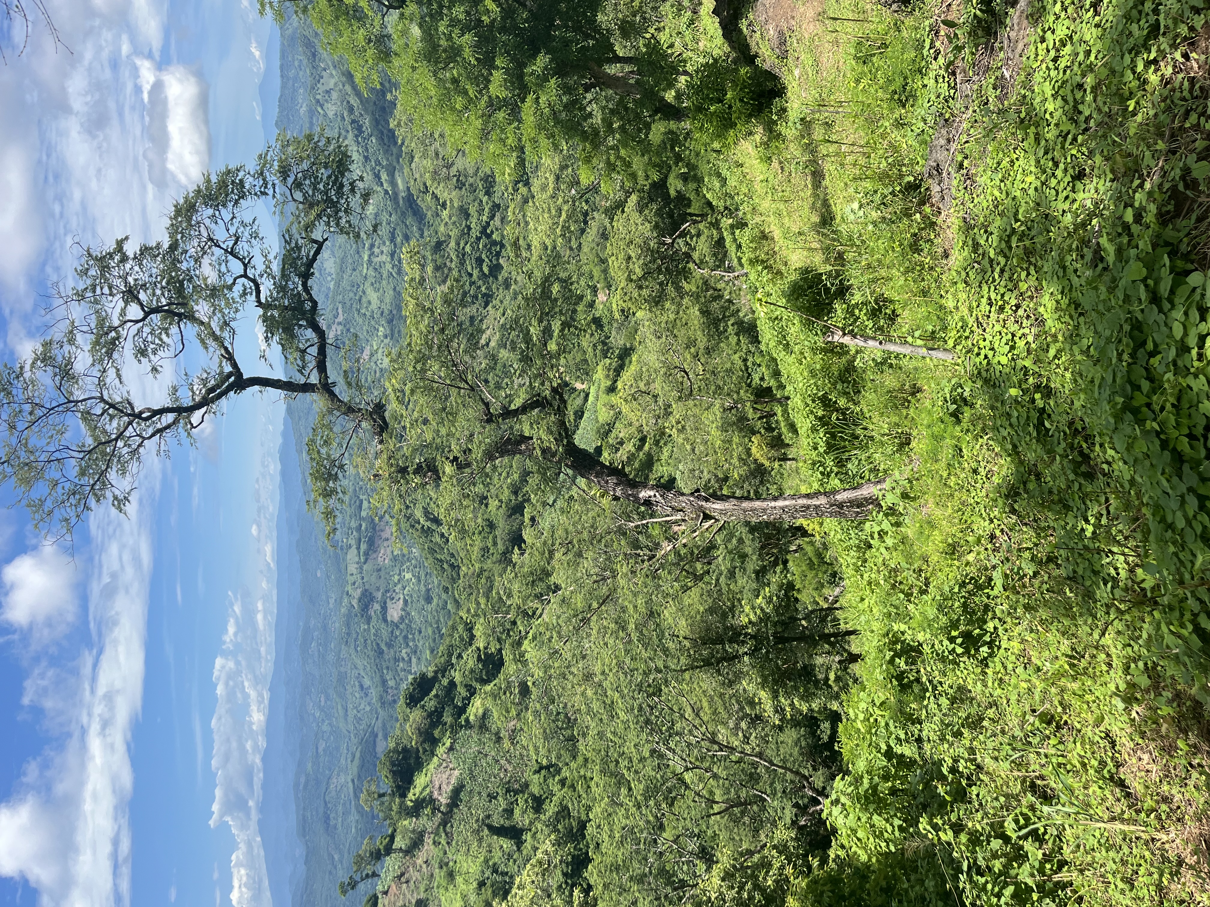 Finca familiar El Salvador
